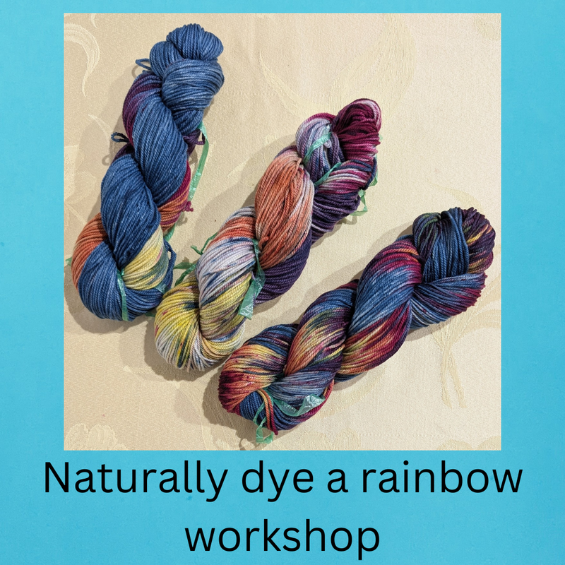 Naturally dye a Rainbow workshop this Summer!