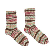 Arne & Carlos | Sock yarn | Painted House Collection