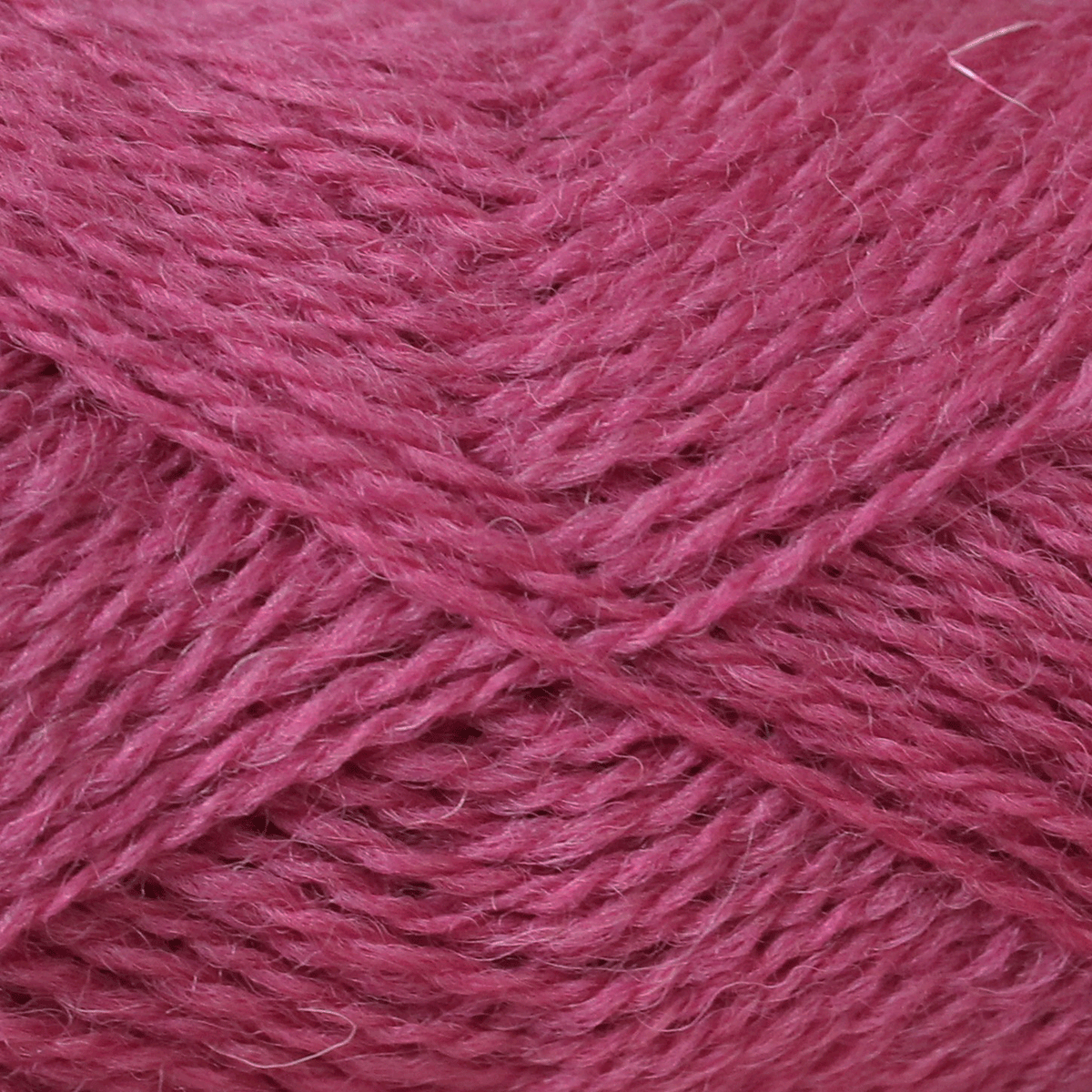 Baa Ram Ewe | Pip Colourwork