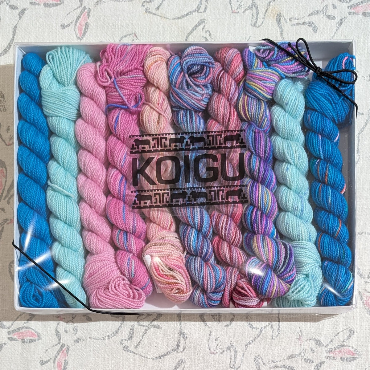 Koigu | Pencil Box | 10 x 25g | Daiquiri