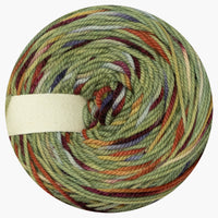 WildWestDye | Naturally dyed m/c/n DK 100g cakes