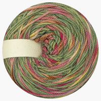 WildWestDye | Naturally dyed m/c/n DK 100g cakes