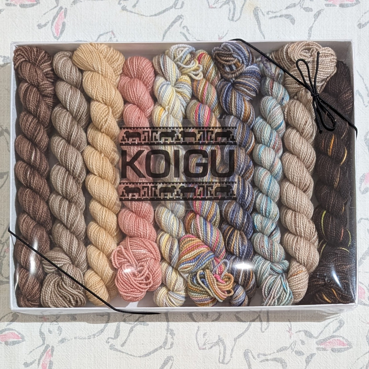 Koigu | Pencil Box | 10 x 25g | Latte