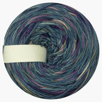 WildWestDye | Naturally dyed m/c/n DK 100g cakes
