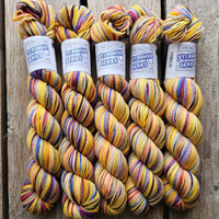 Koigu | KPPPM | Fingering