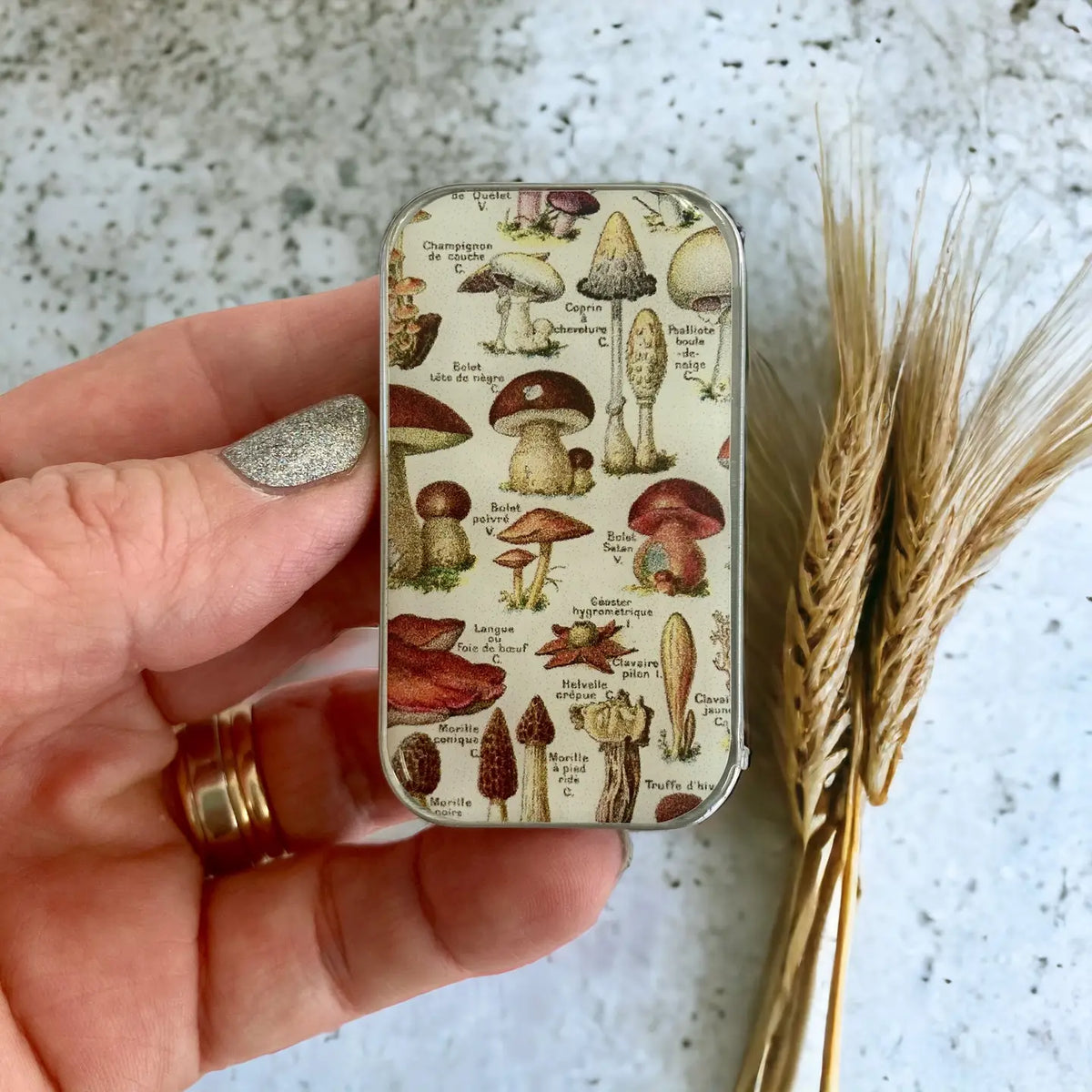 Firefly notes | Notions Tin | Small