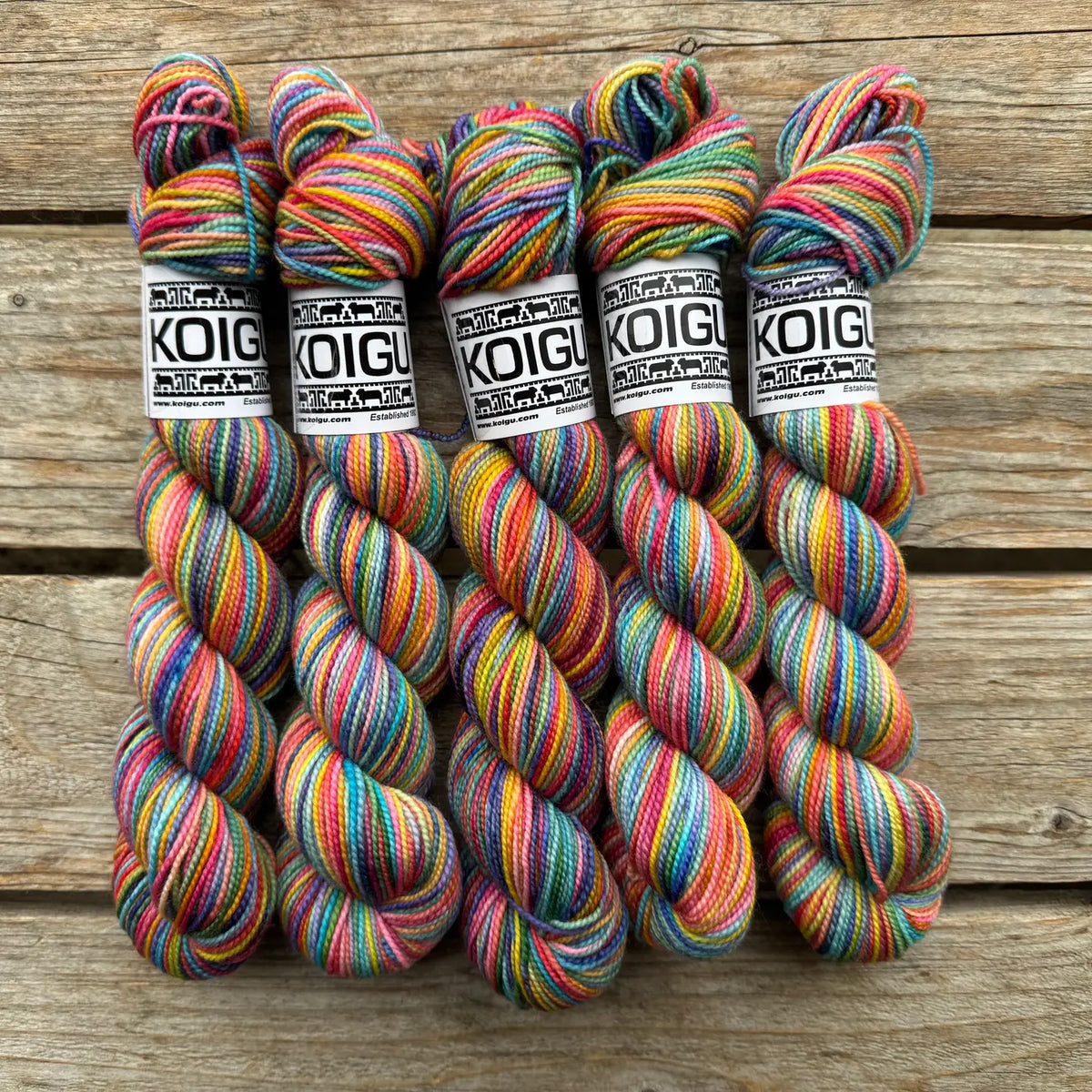 Koigu | KPPPM | Fingering