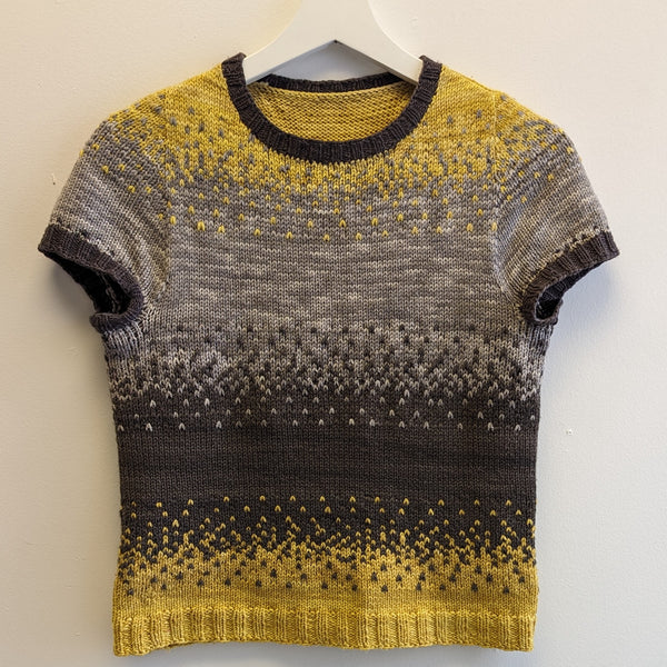 Pixelated Sweater | 5 part class