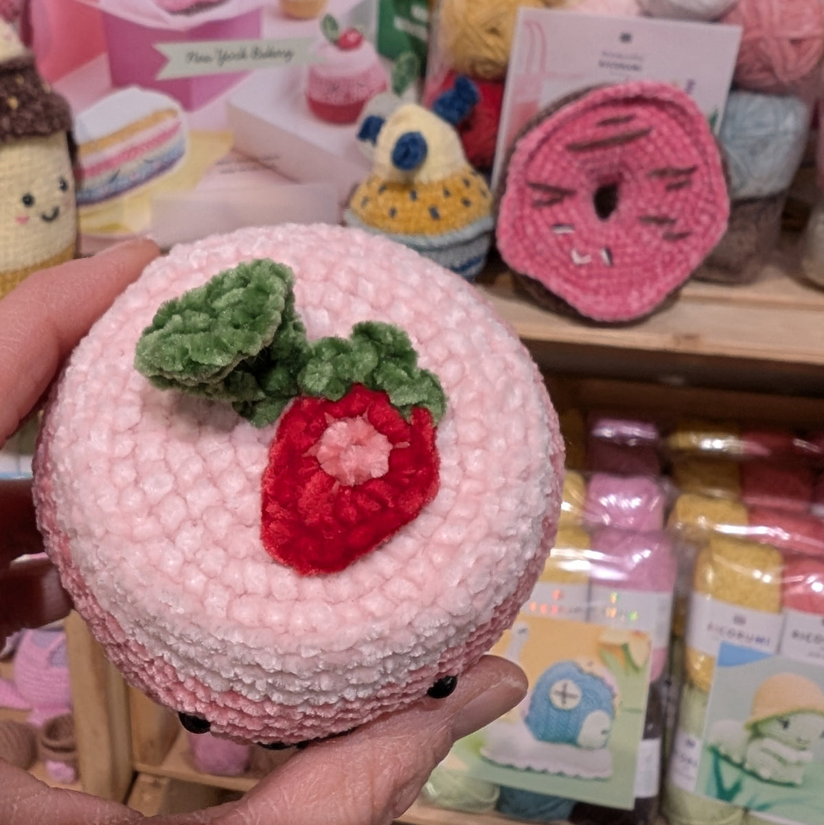 Intro to Ricorumi Amigurumi | 3 hour workshop