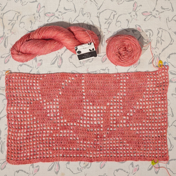 Filet Crochet | 3 hour workshop