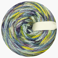 WildWestDye | Naturally dyed merino/nylon bulky 125g cake