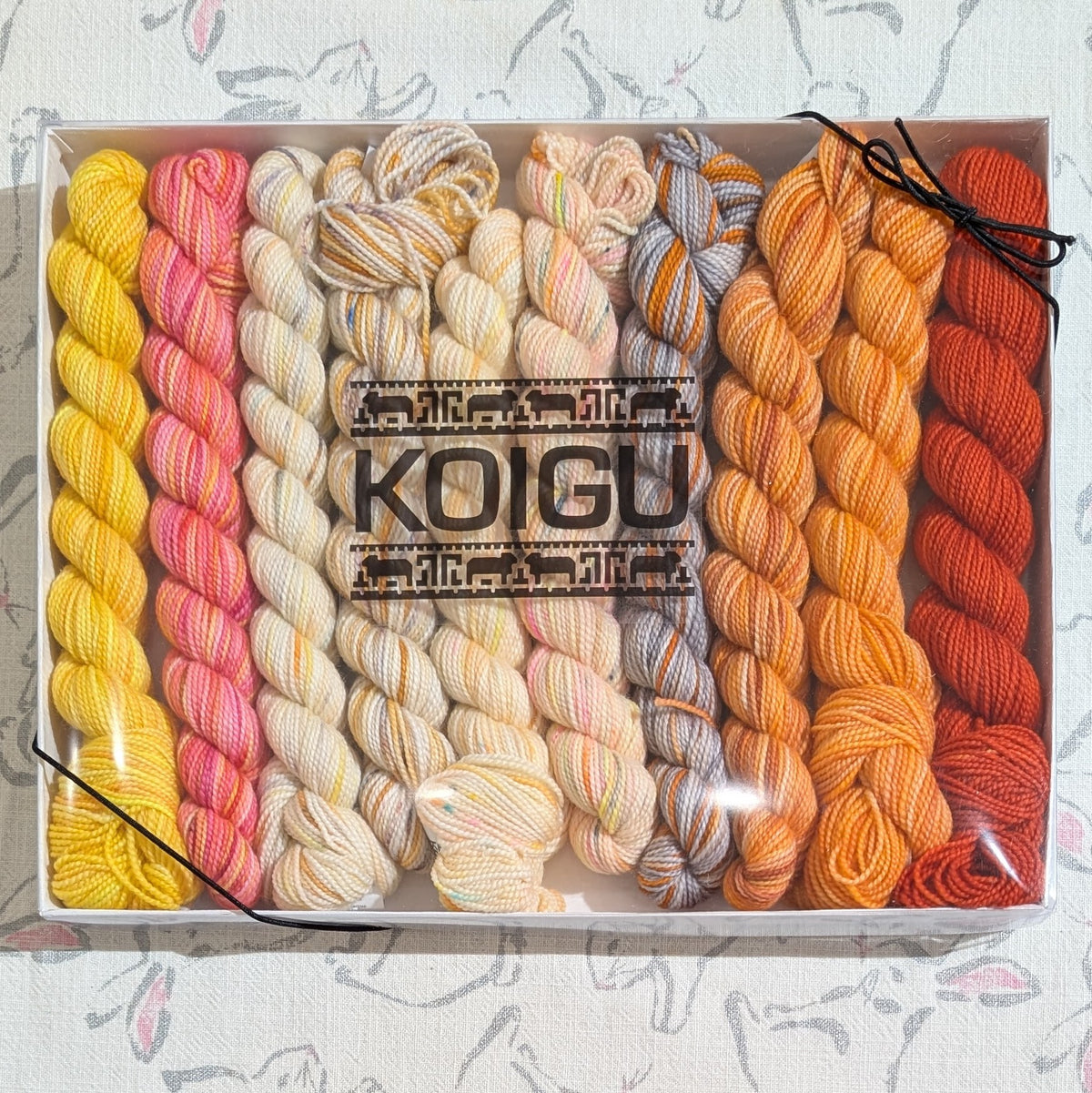 Koigu | Pencil Box | 10 x 25g | Sunflower Sky