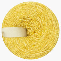 WildWestDye | Naturally dyed silk/ merino sport 100g cakes