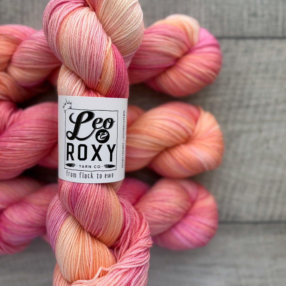 Leo and Roxy | 80/20 sock | Brights collection