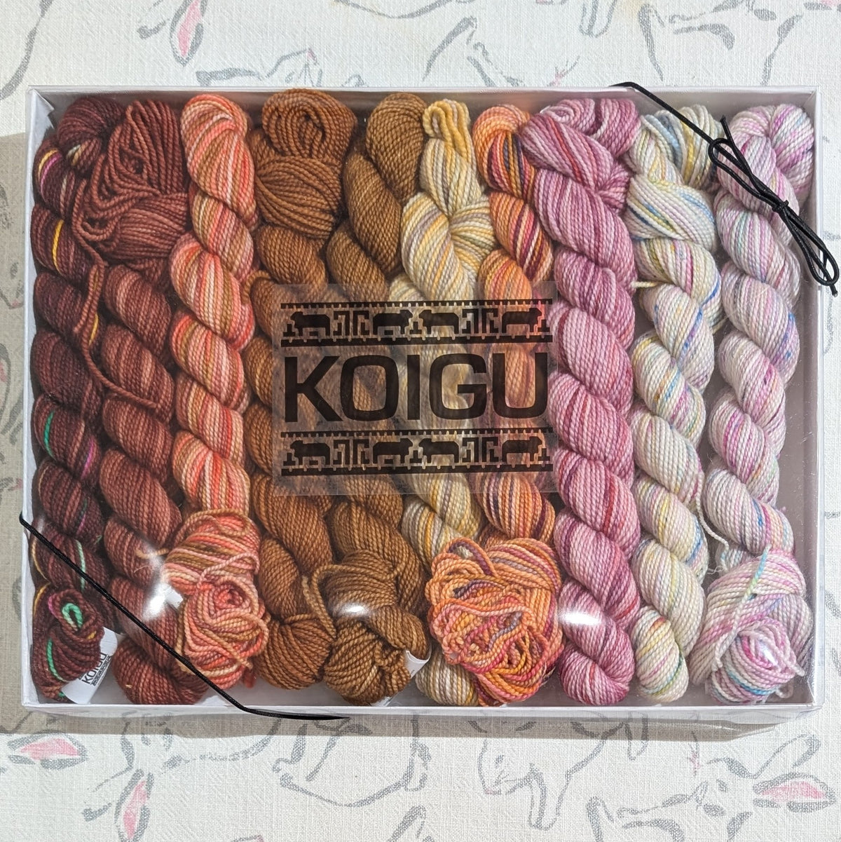 Koigu | Pencil Box | 10 x 25g | Venation Original