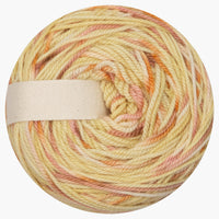 WildWestDye | Naturally dyed m/c/n DK 100g cakes