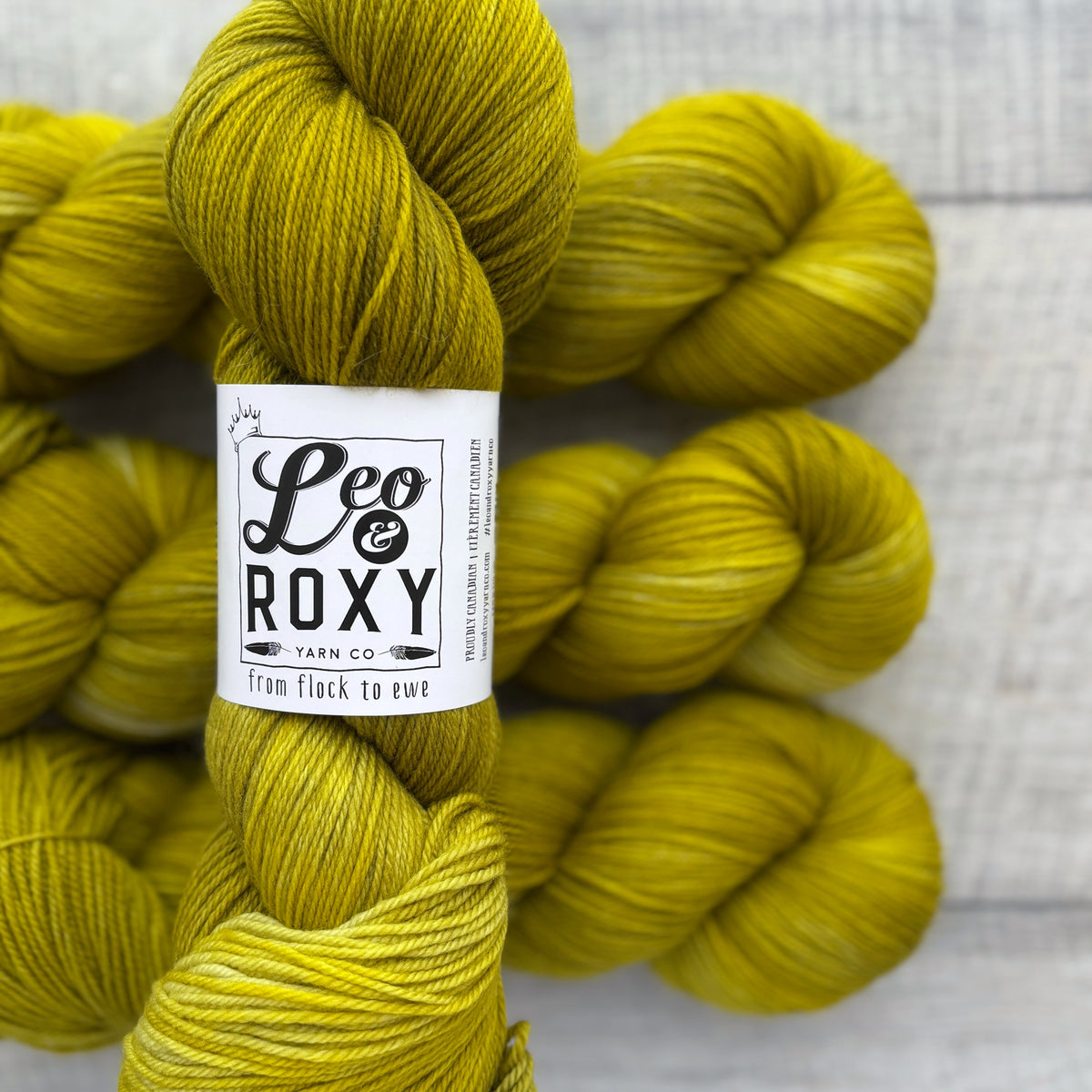 Leo and Roxy | 80/20 sock | Brights collection