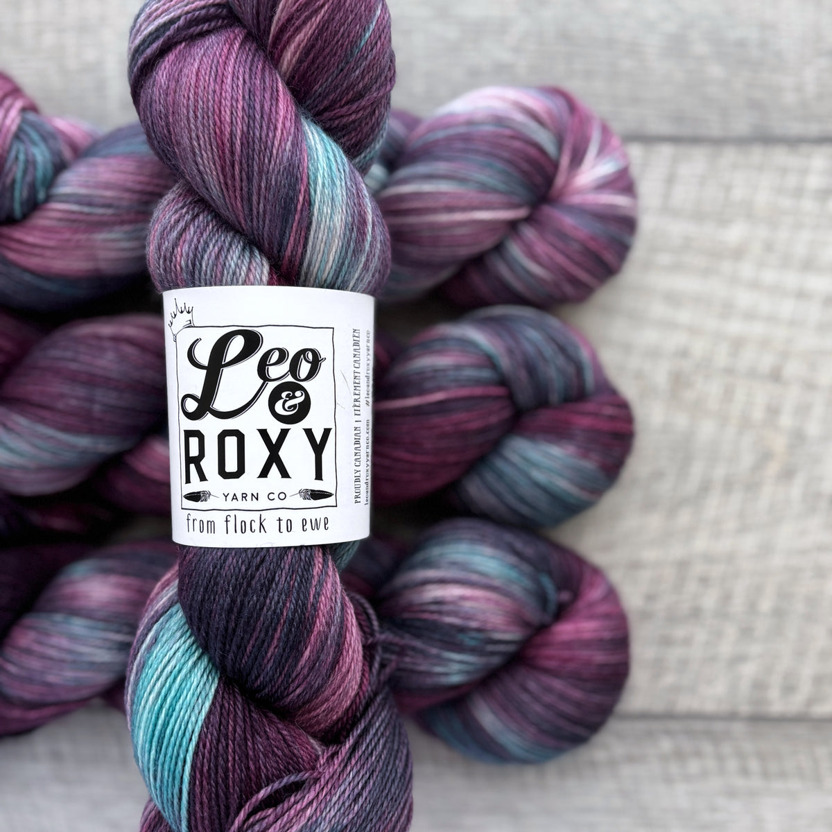 Leo and Roxy | 80/20 sock | Brights collection