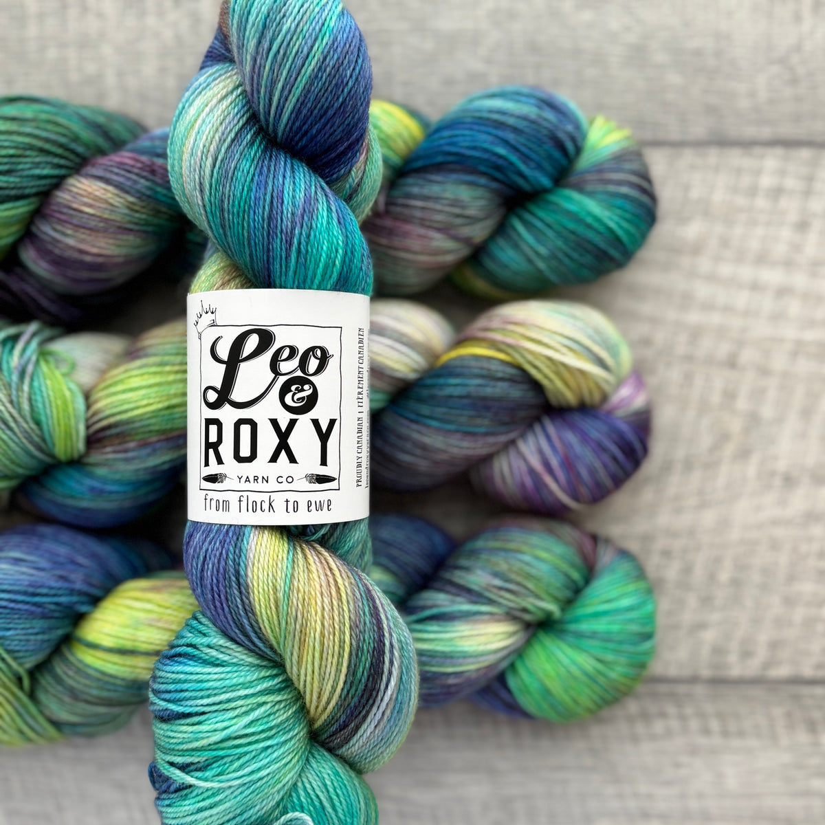 Leo and Roxy | 80/20 sock | Brights collection