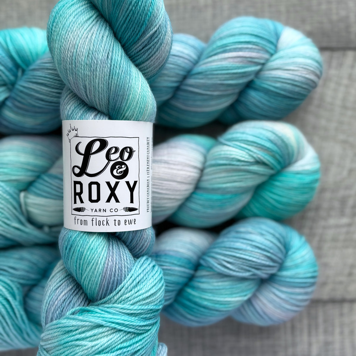 Leo and Roxy | 80/20 sock | Brights collection