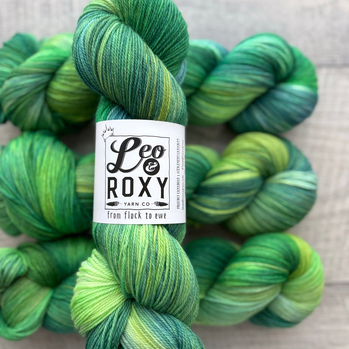 Leo and Roxy | 80/20 sock | Brights collection