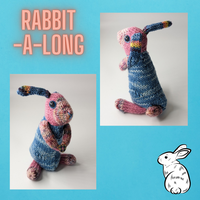 WildWestDye Beginner Rabbit | Yarn kit