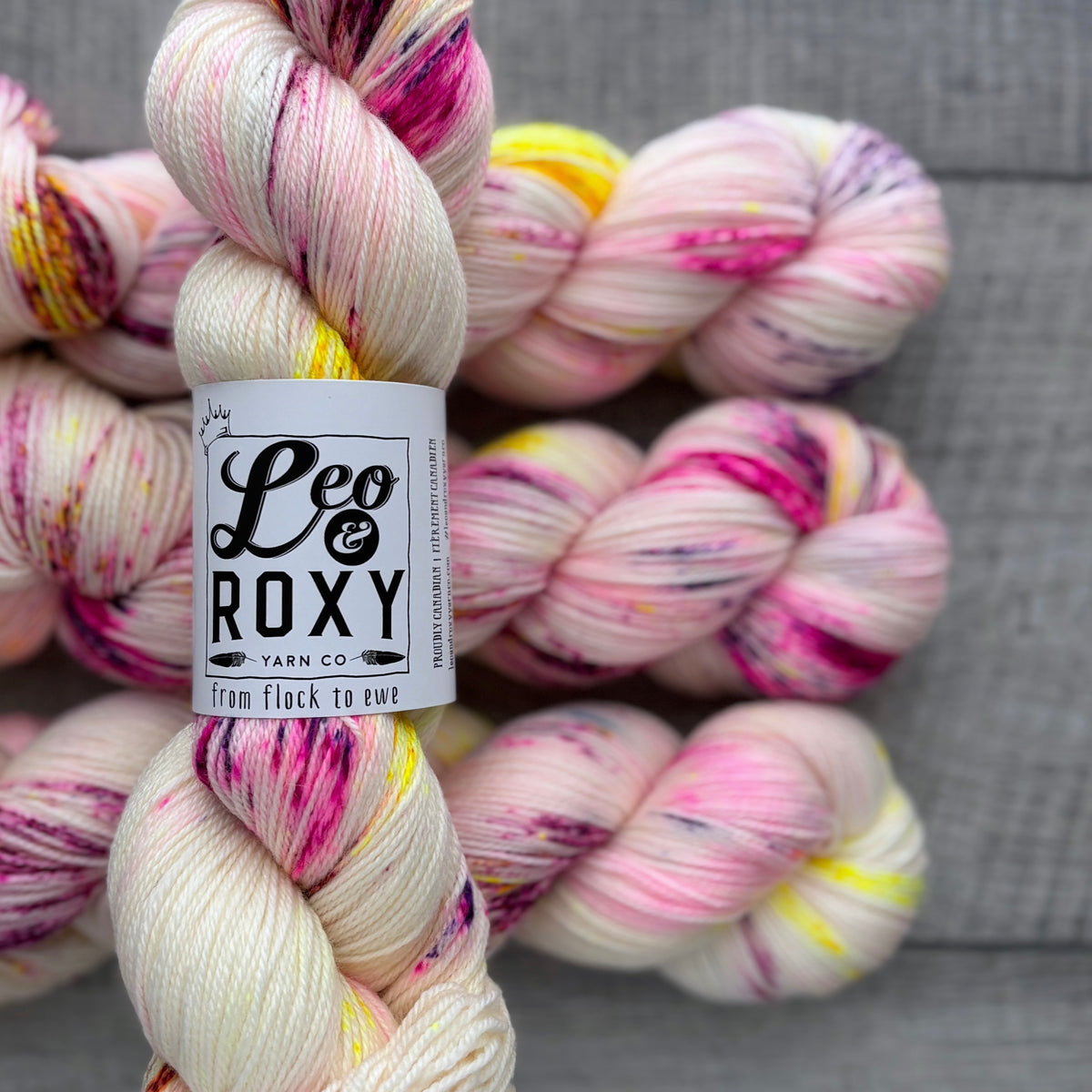 Leo and Roxy | 80/20 sock | Brights collection