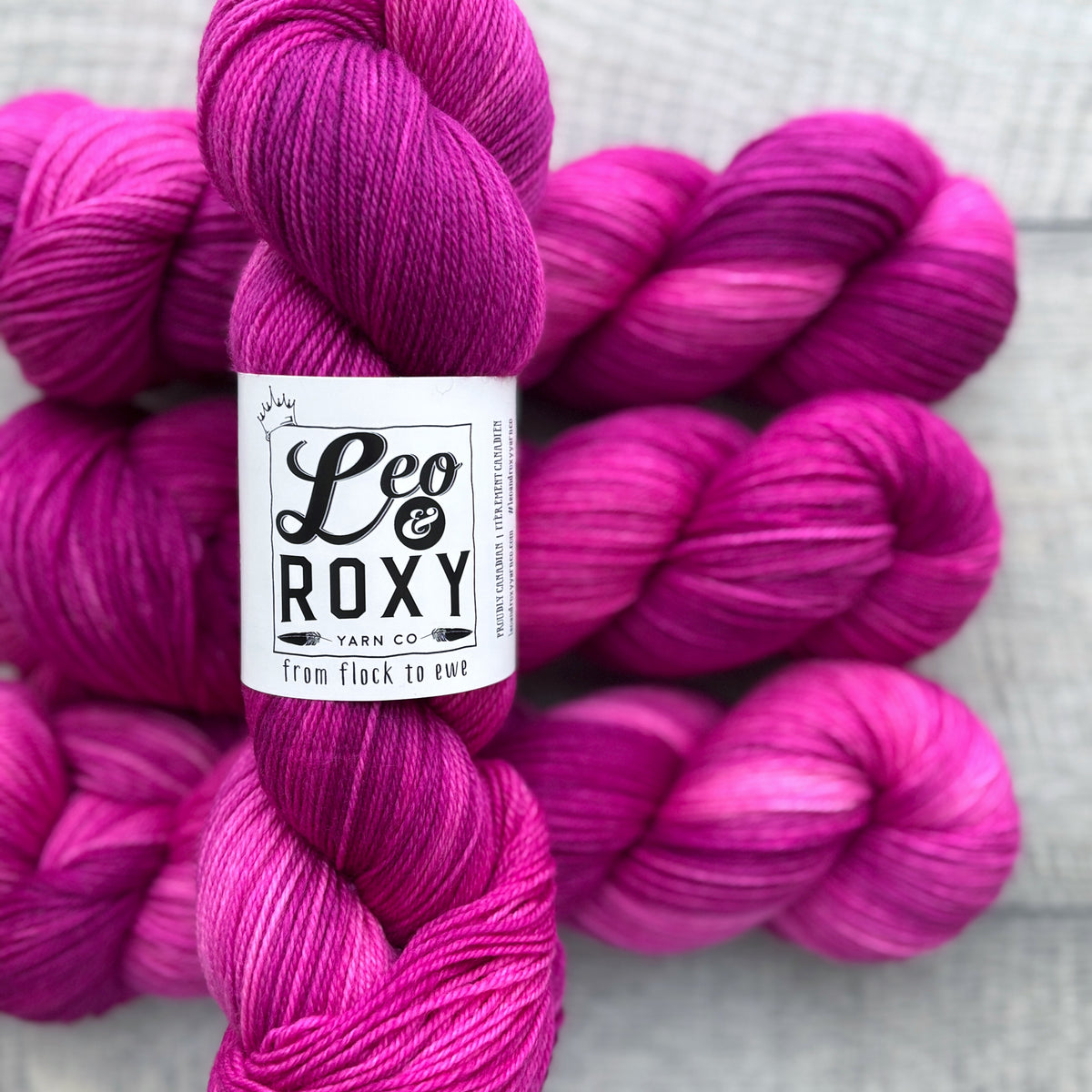 Leo and Roxy | 80/20 sock | Brights collection