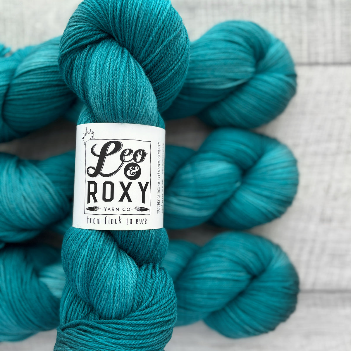 Leo and Roxy | 80/20 sock | Brights collection