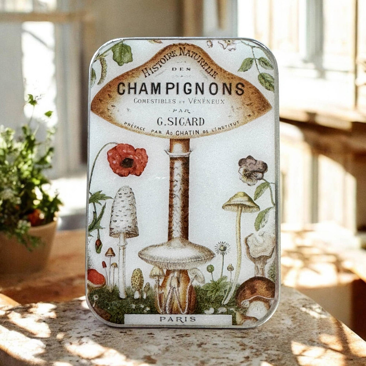 Firefly notes | Notions Tin | Large