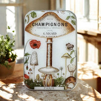 Firefly notes | Notions Tin | Large