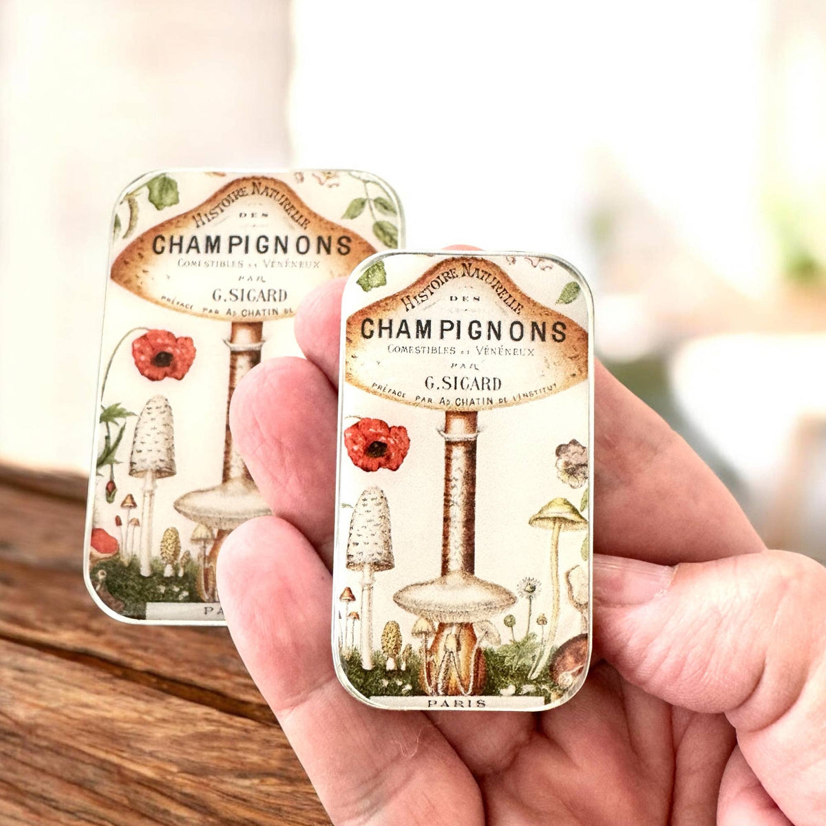 Firefly notes | Notions Tin | Small