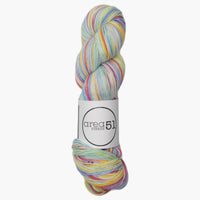 Area 51 | Self striping sock yarn